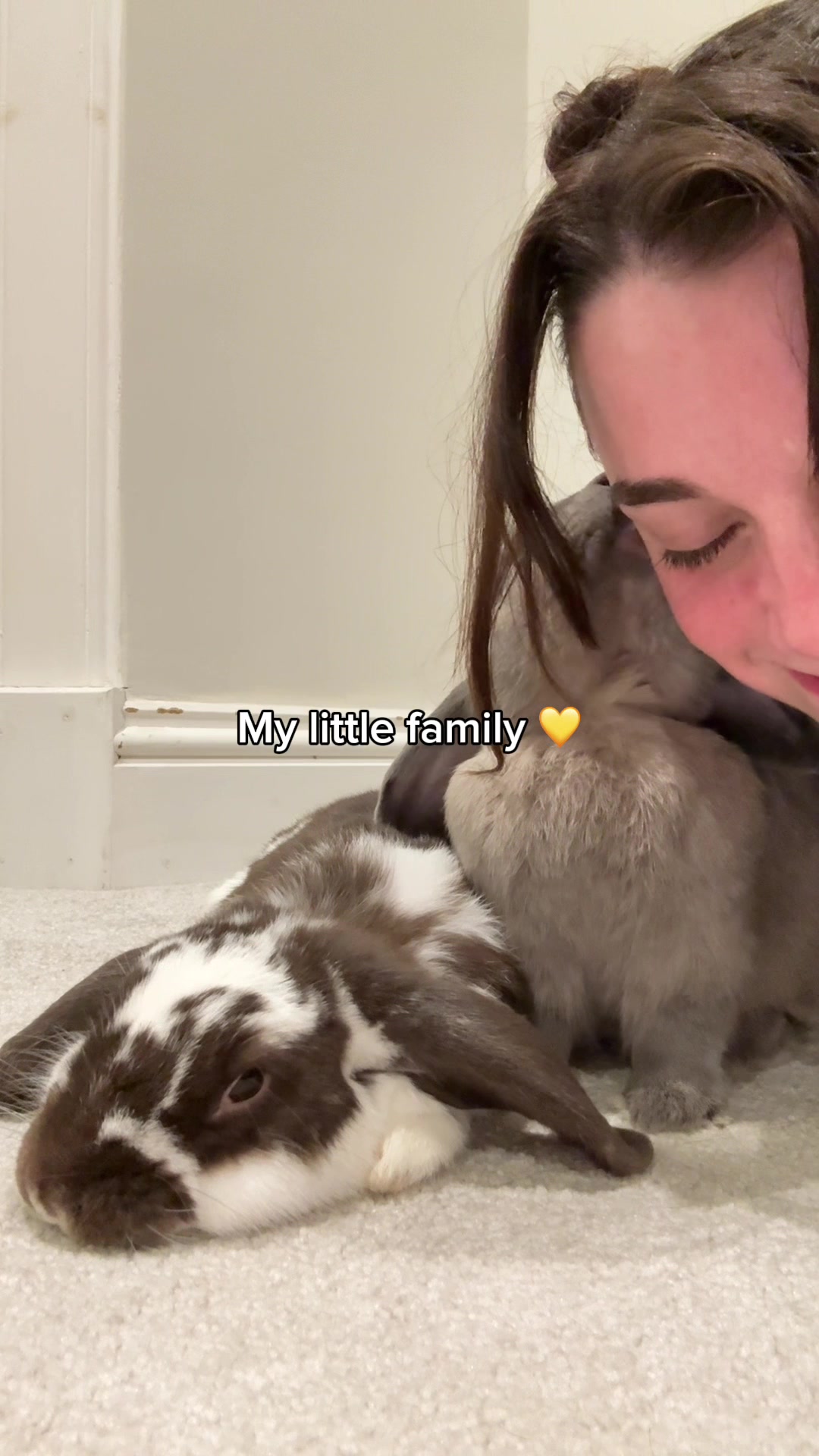 @Buzz the Bunny
