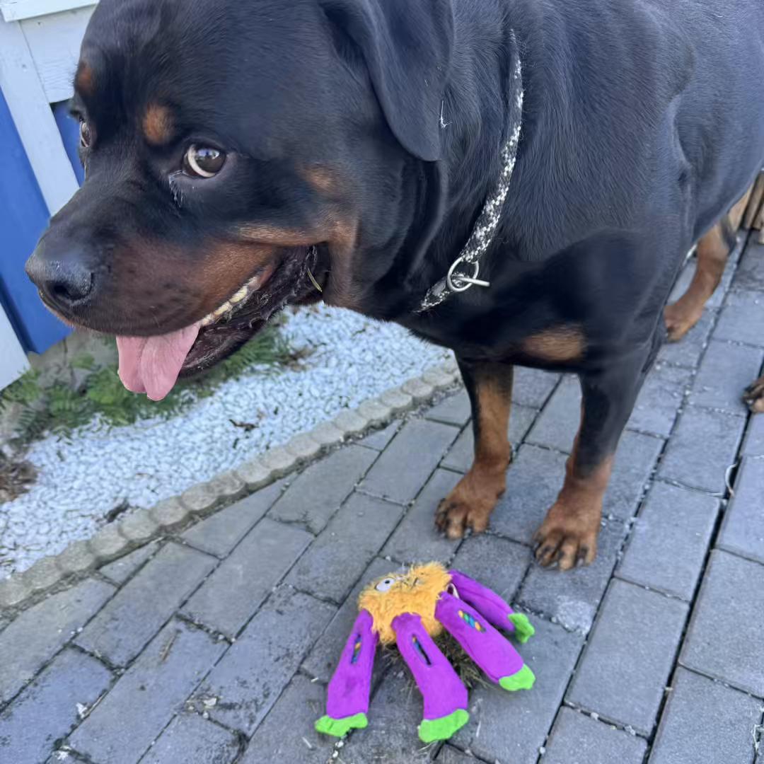 @Saphir🥰🐾