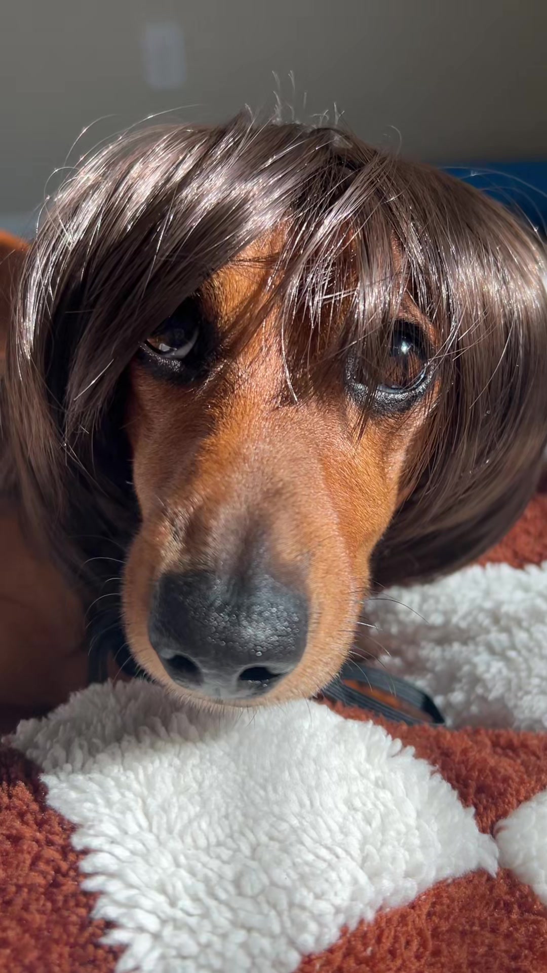 @Slinky Severus-Doo
