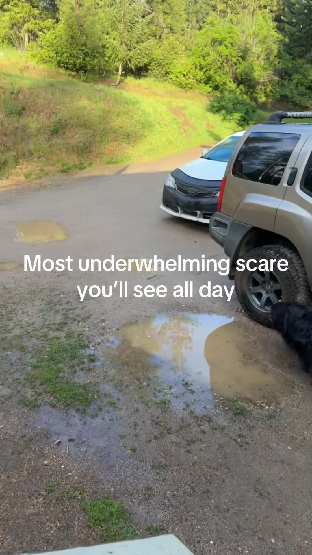 @Amber