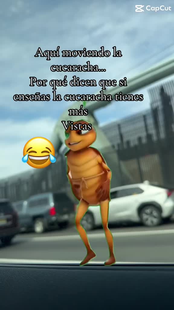 @gali.dj