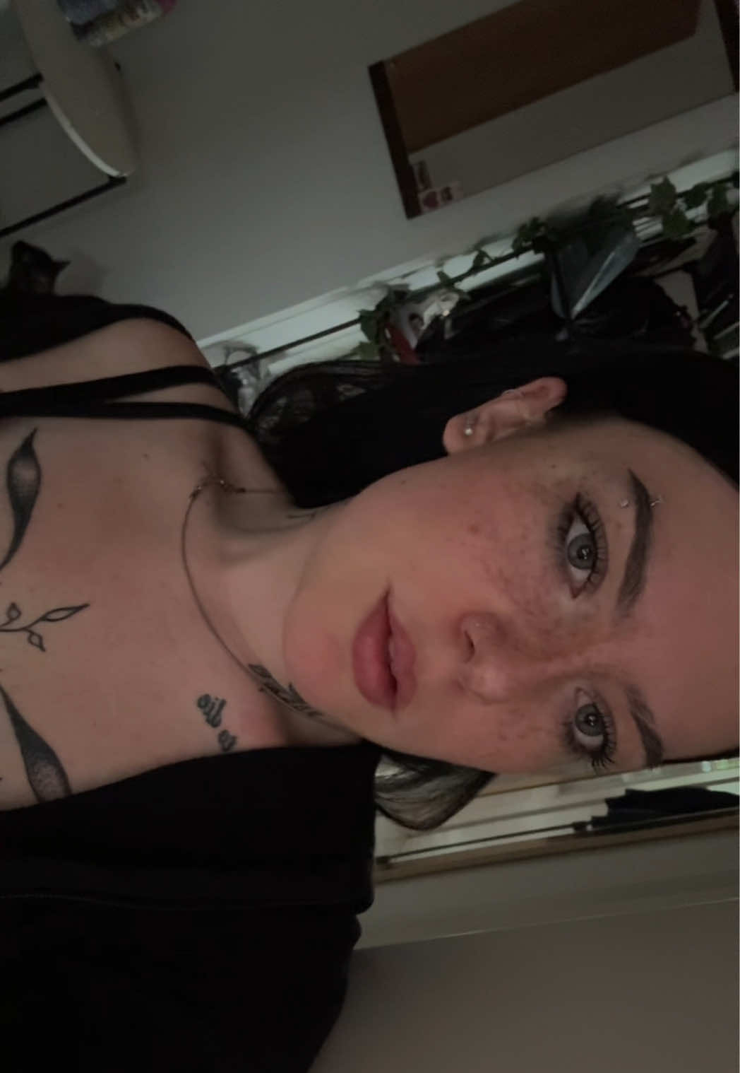 @alexa
