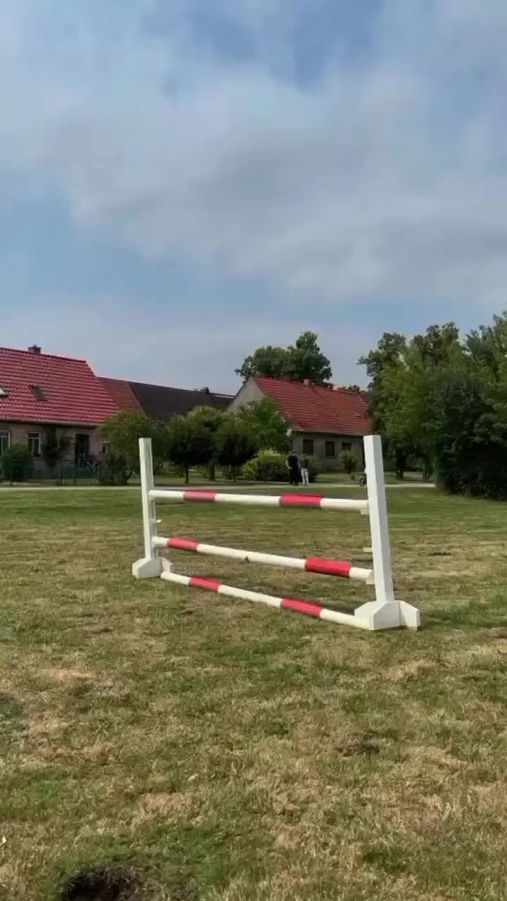 @Helene🦅🇩🇪