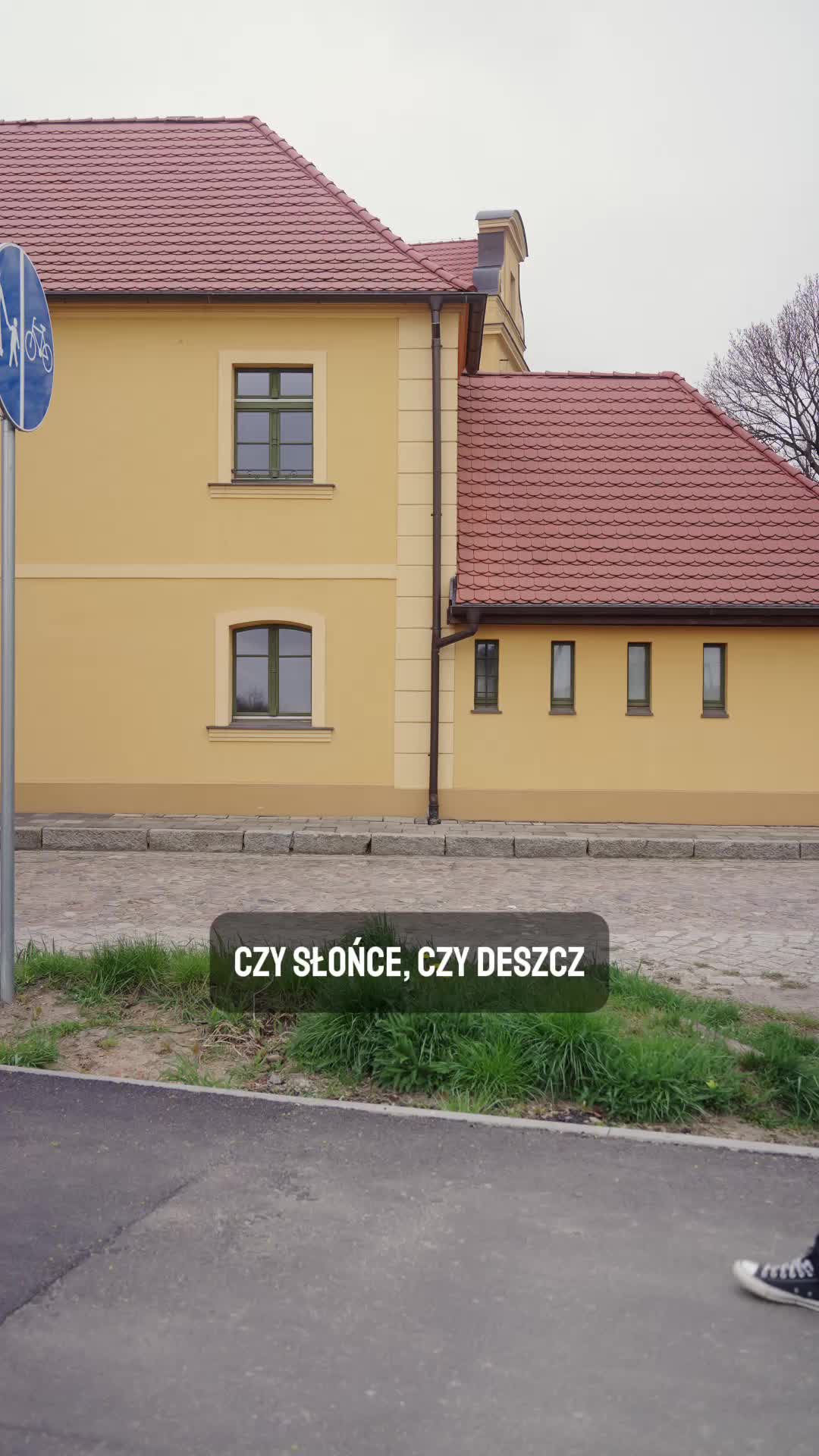 @Ratuszowa_wolow