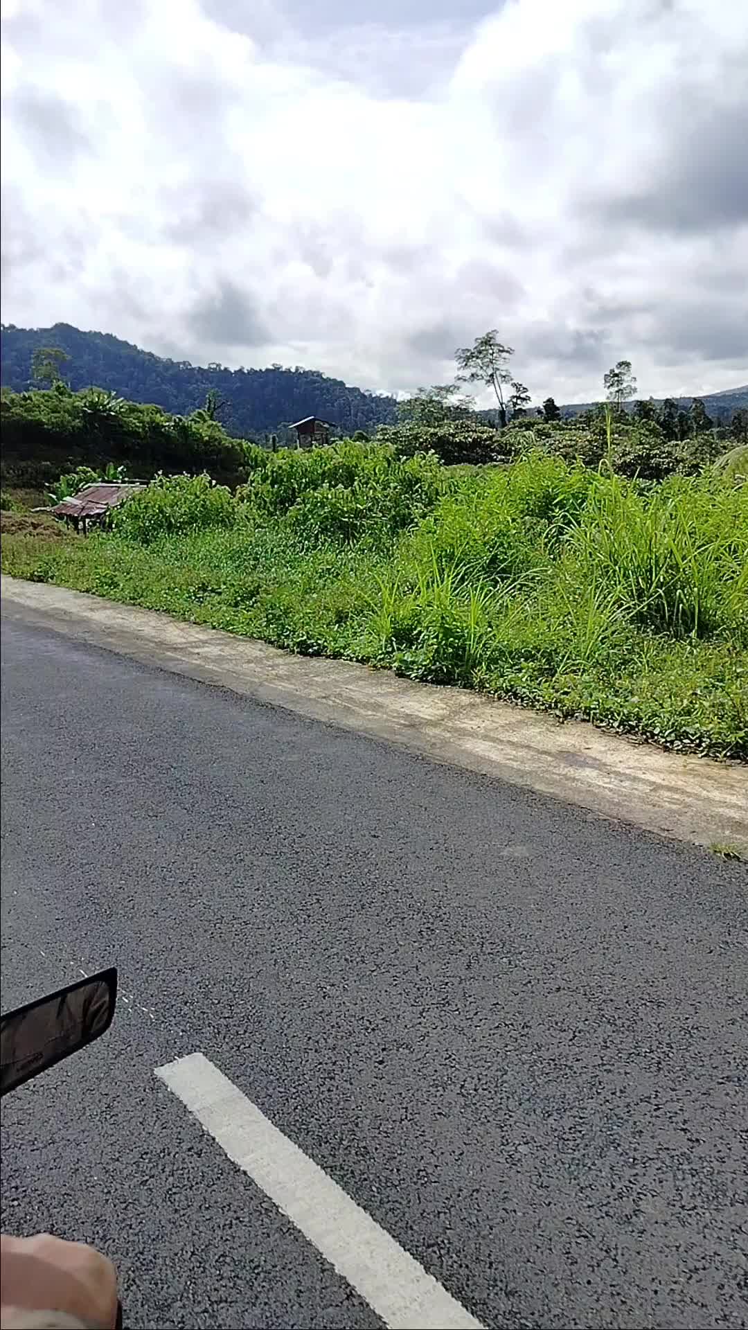 @evysurbakty