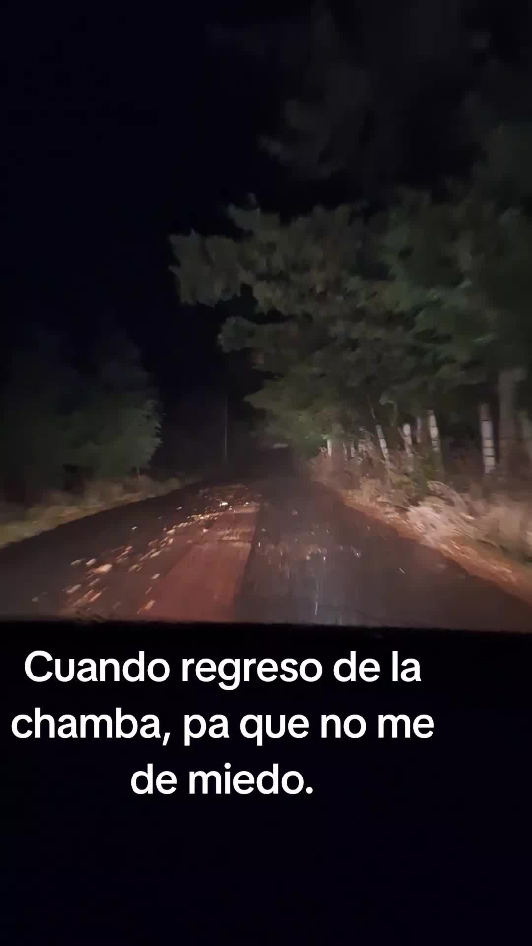 @marlenn miranda
