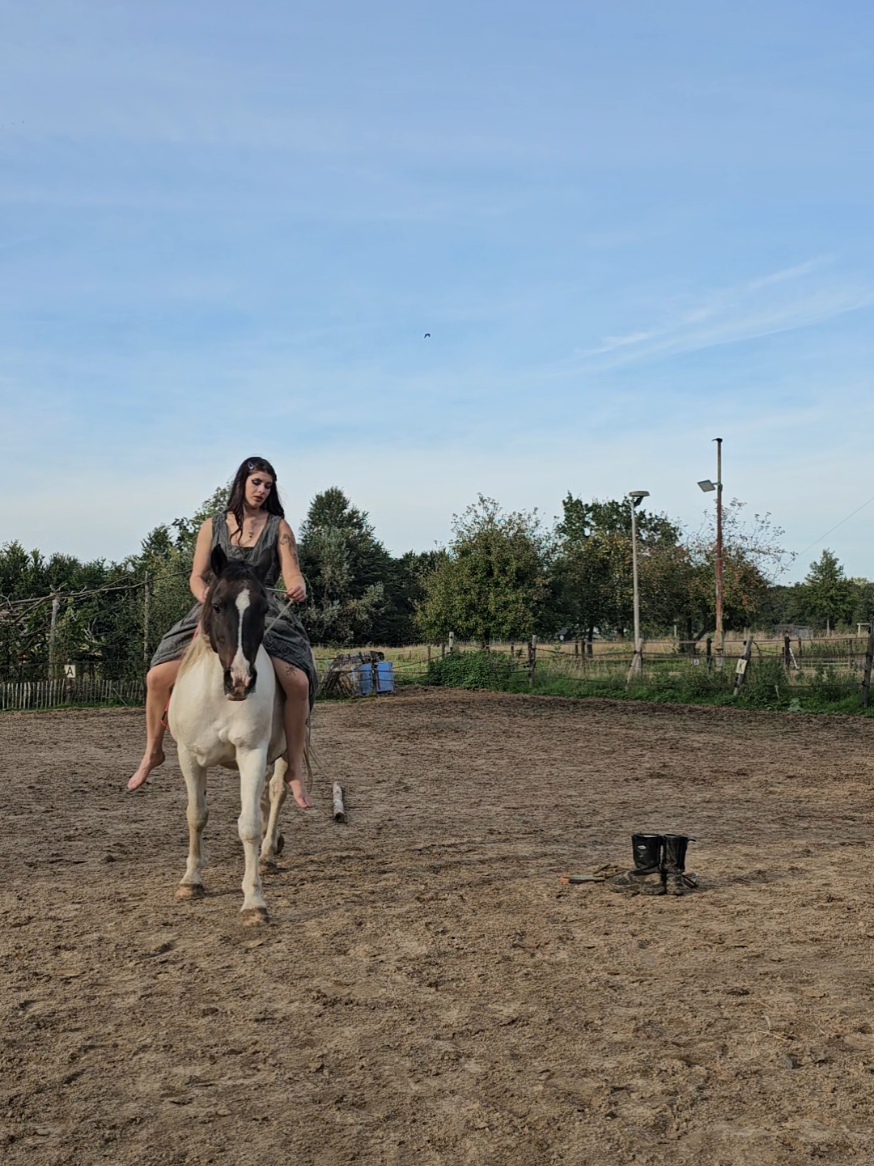 @Dino and horses