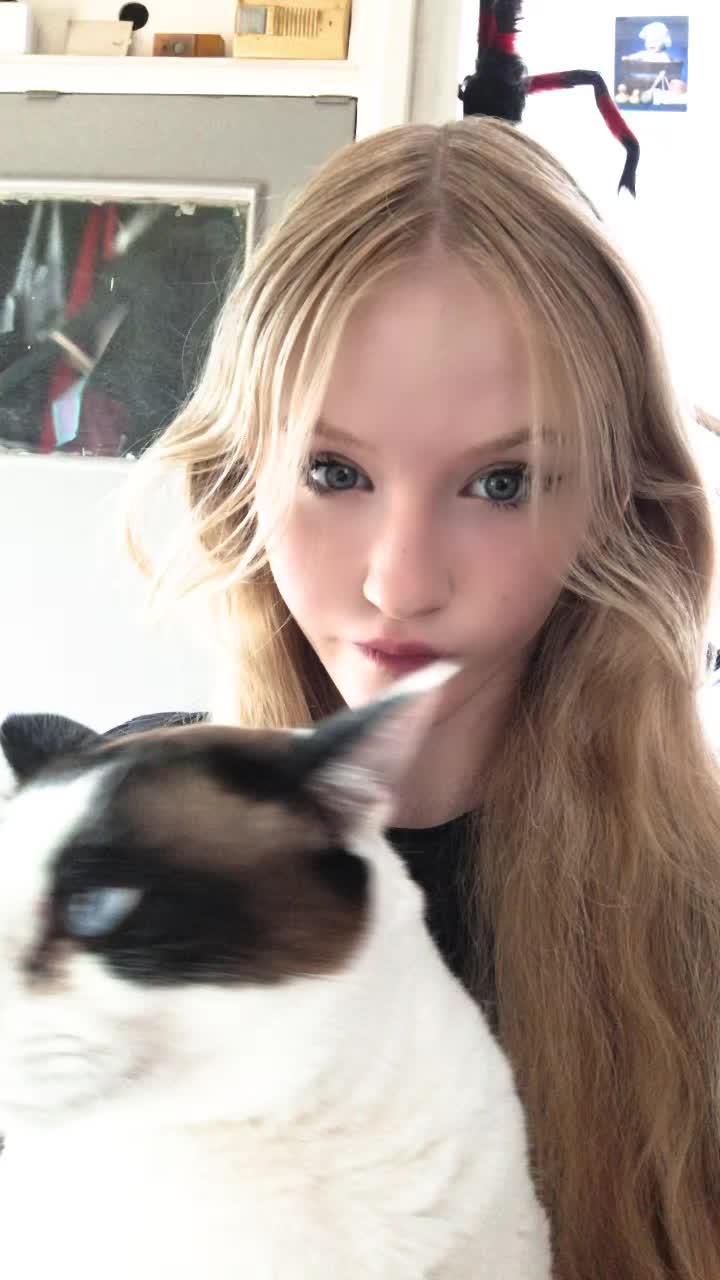 @Fayth