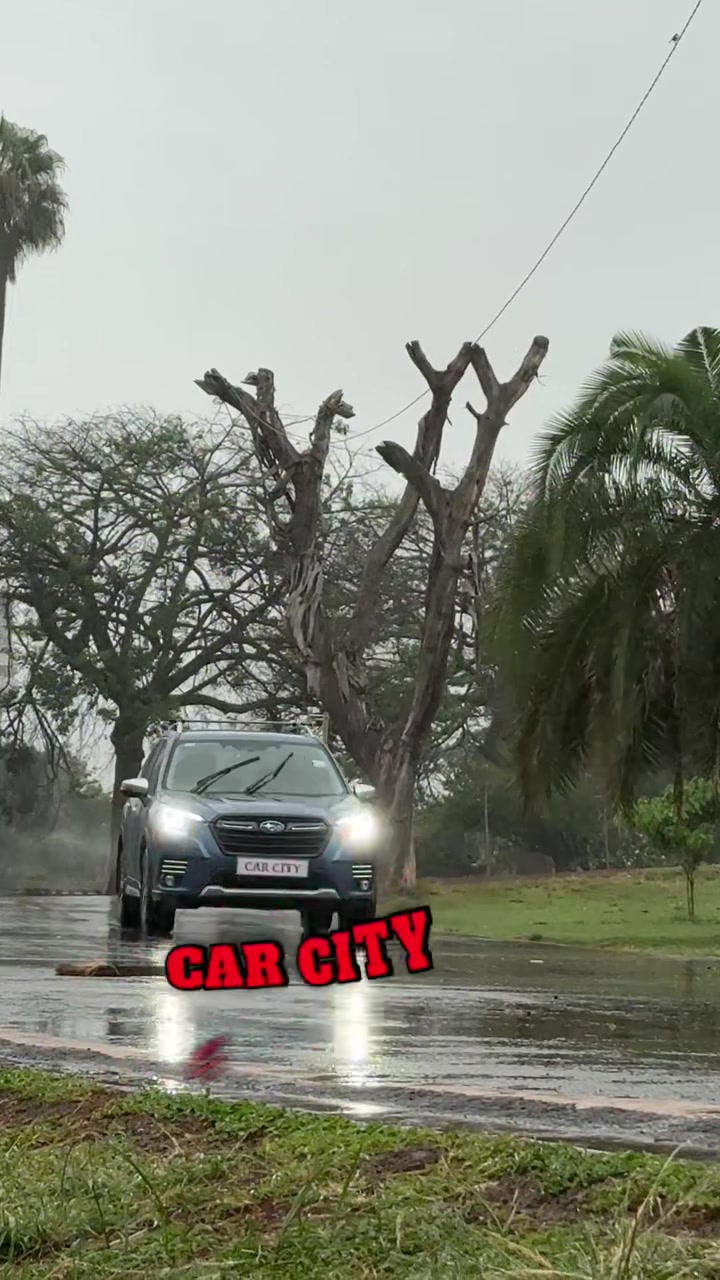 @Car City Limited
