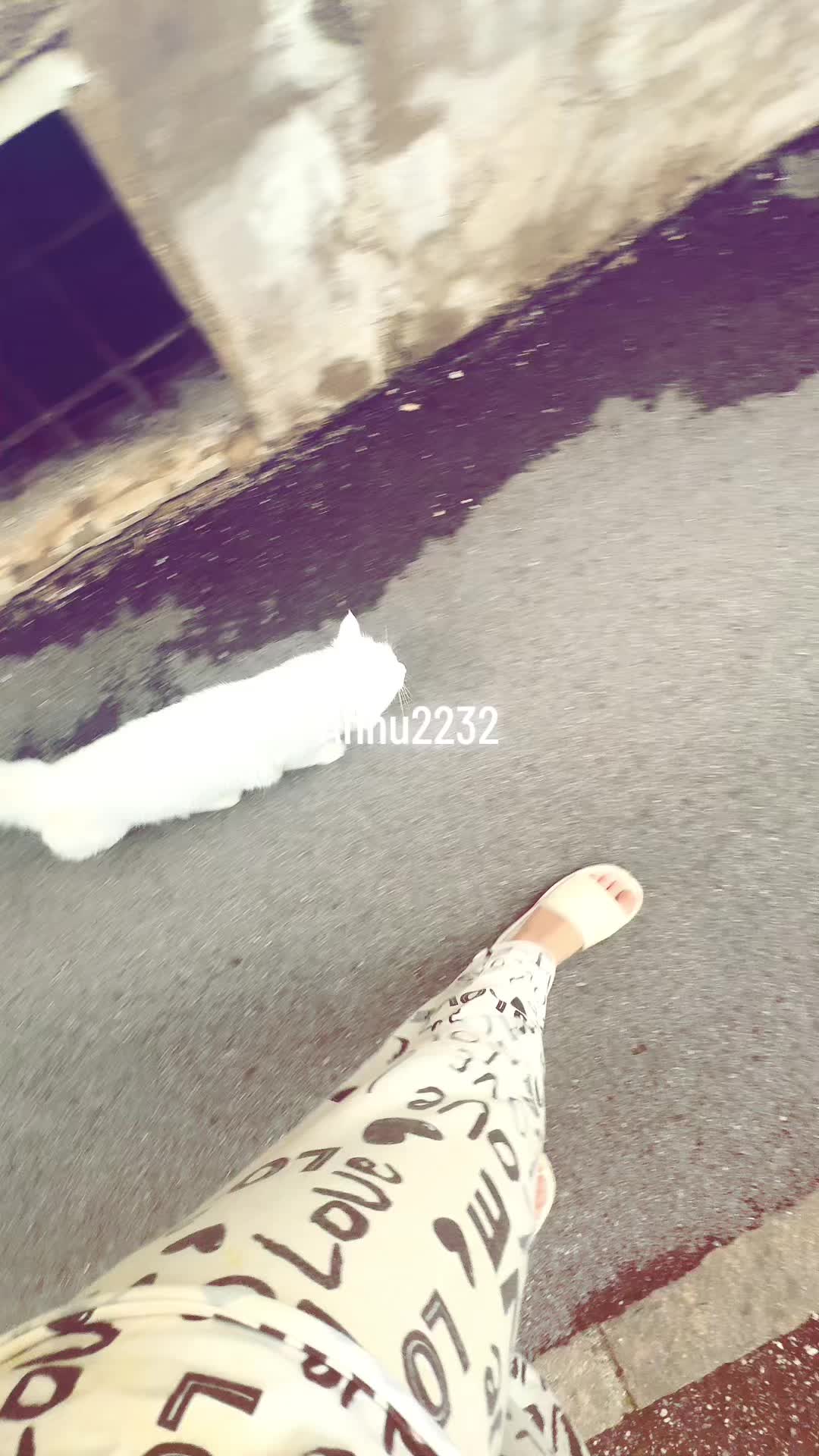@annu_2232
