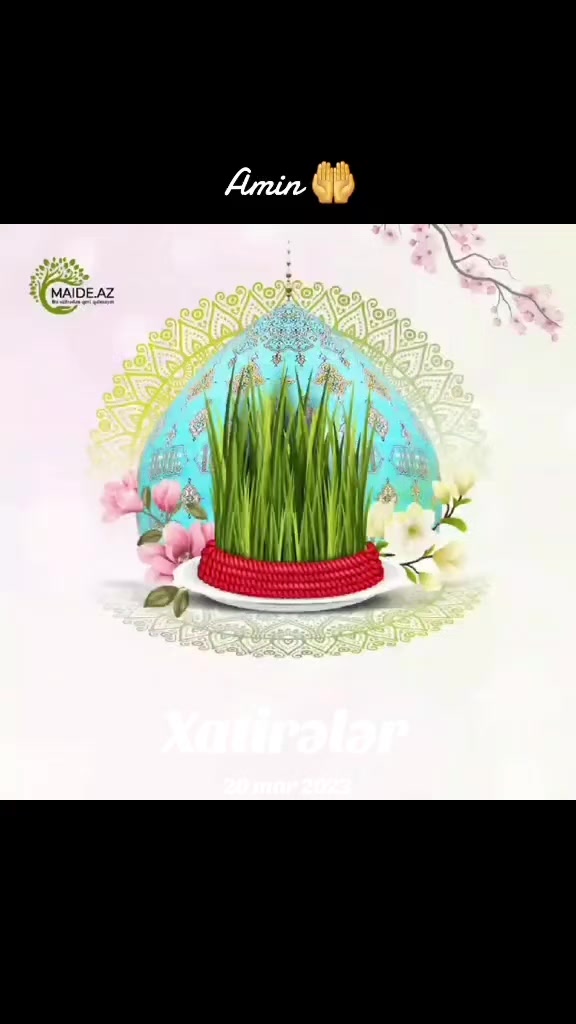 @Kazımov.313 🦂