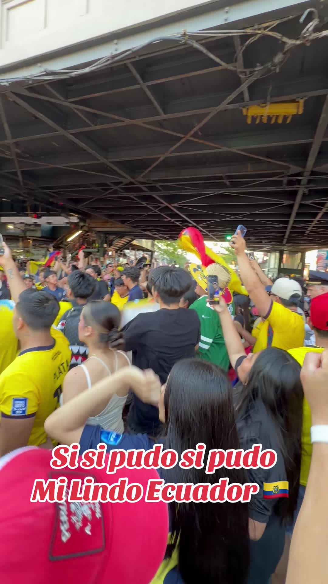 @Luisito 593✍️