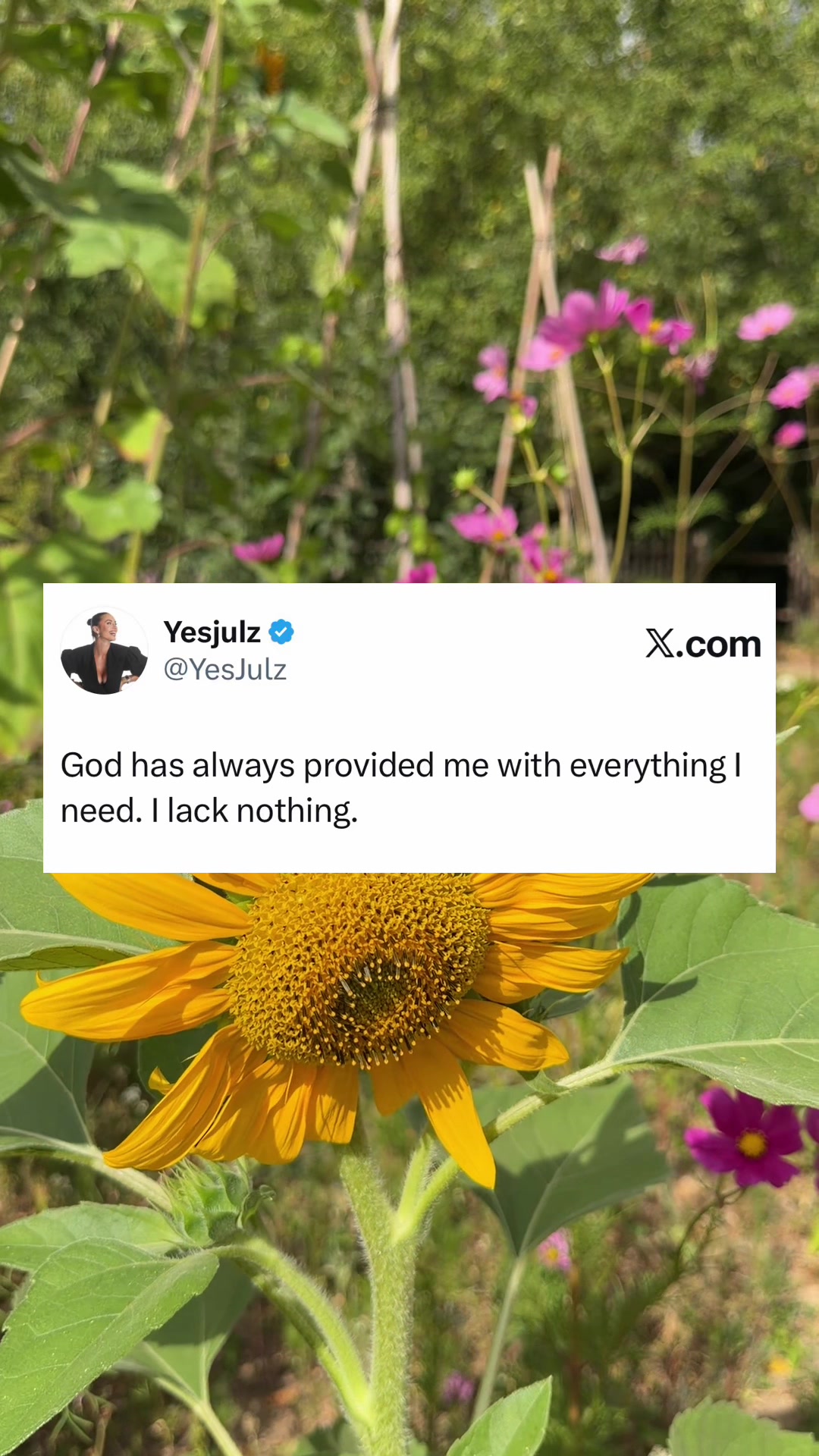 @Yesjulz