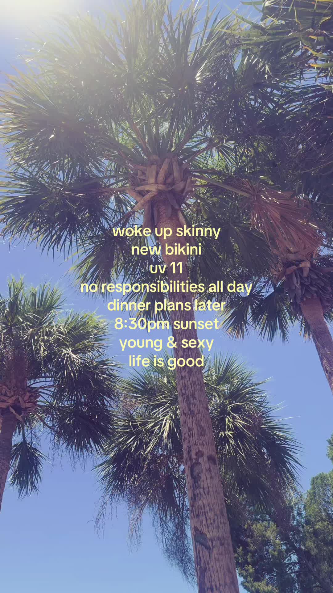 @sophia *ੈ✩‧₊˚