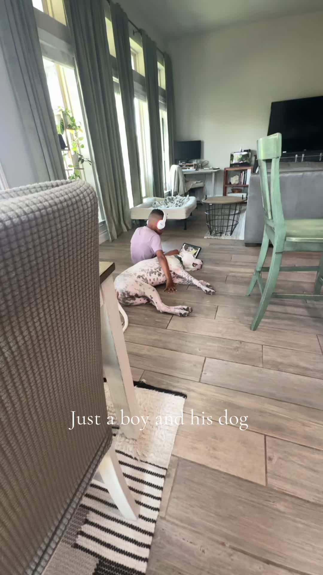 @Dogo Mom