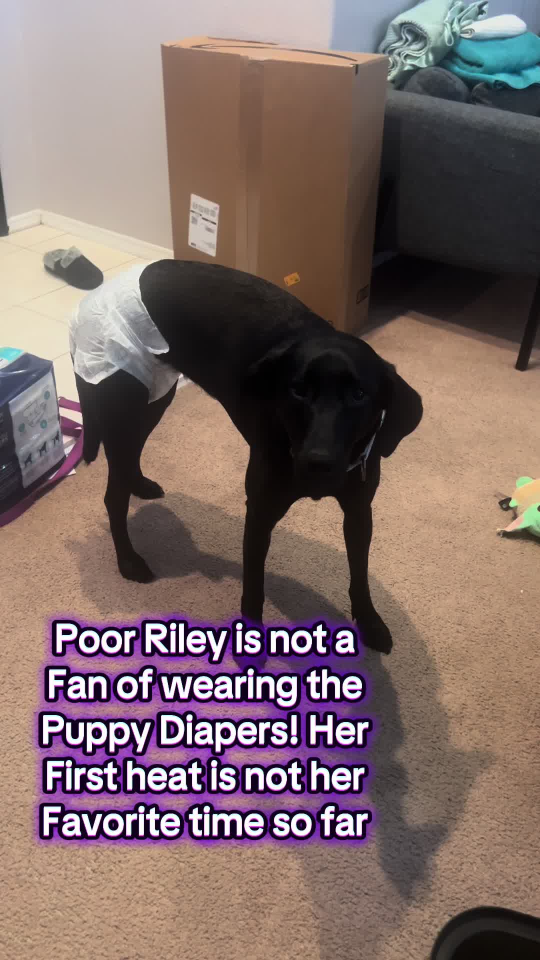 @Riley