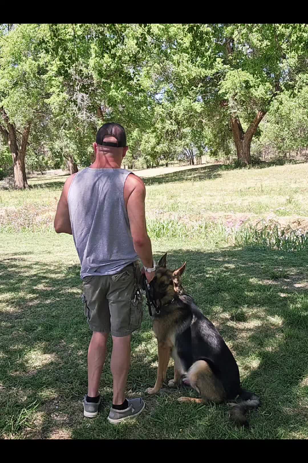 @DexterAndMichael