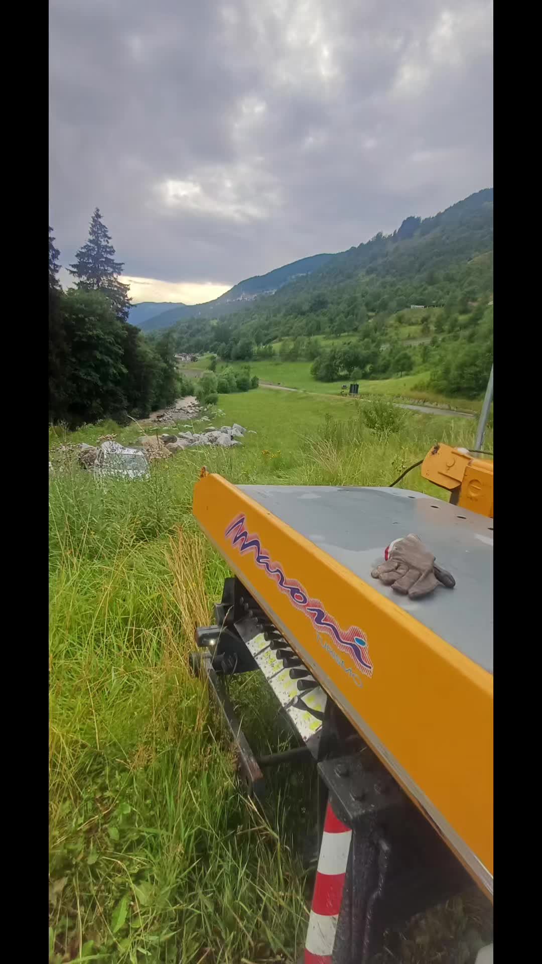 @il carrista di tik tok