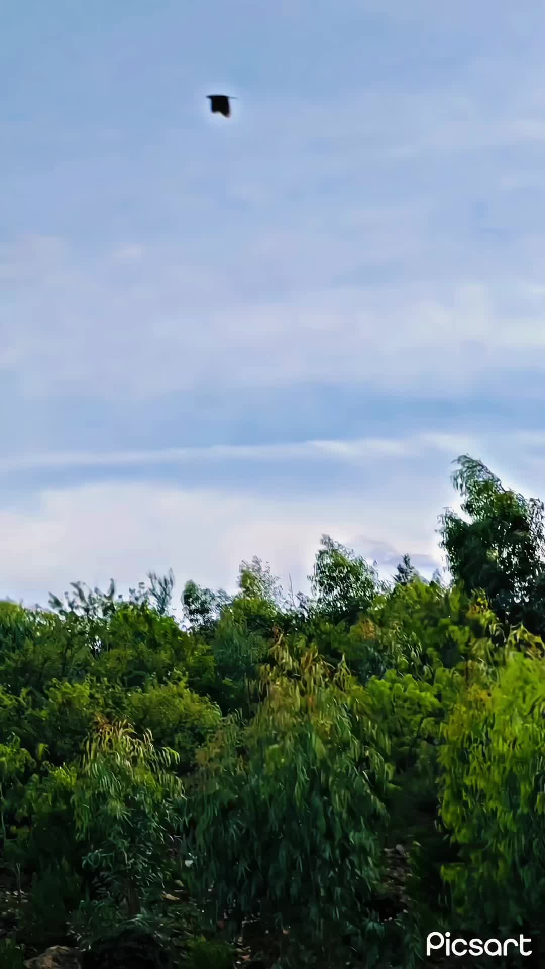 @Ƭѻxꭵc 💀🪽