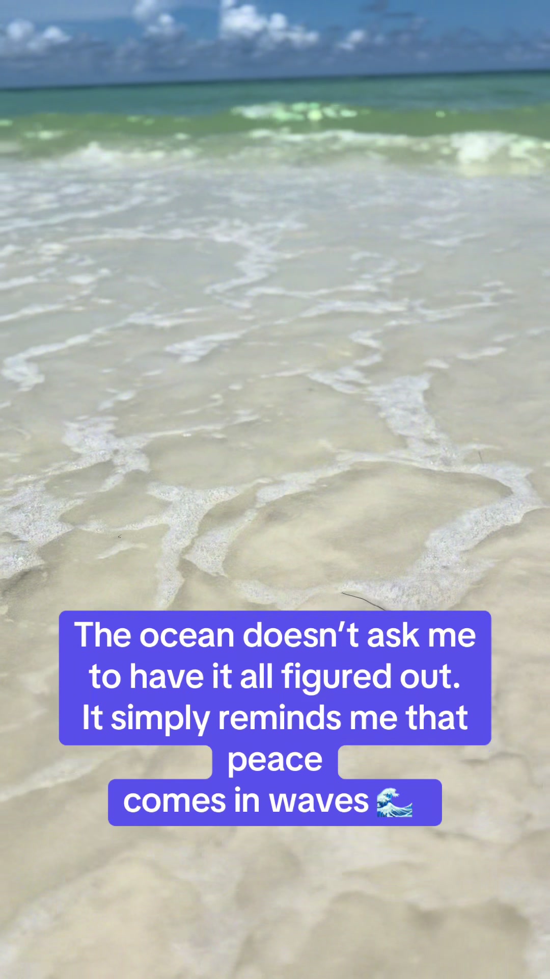 @Crazy4Frenchies