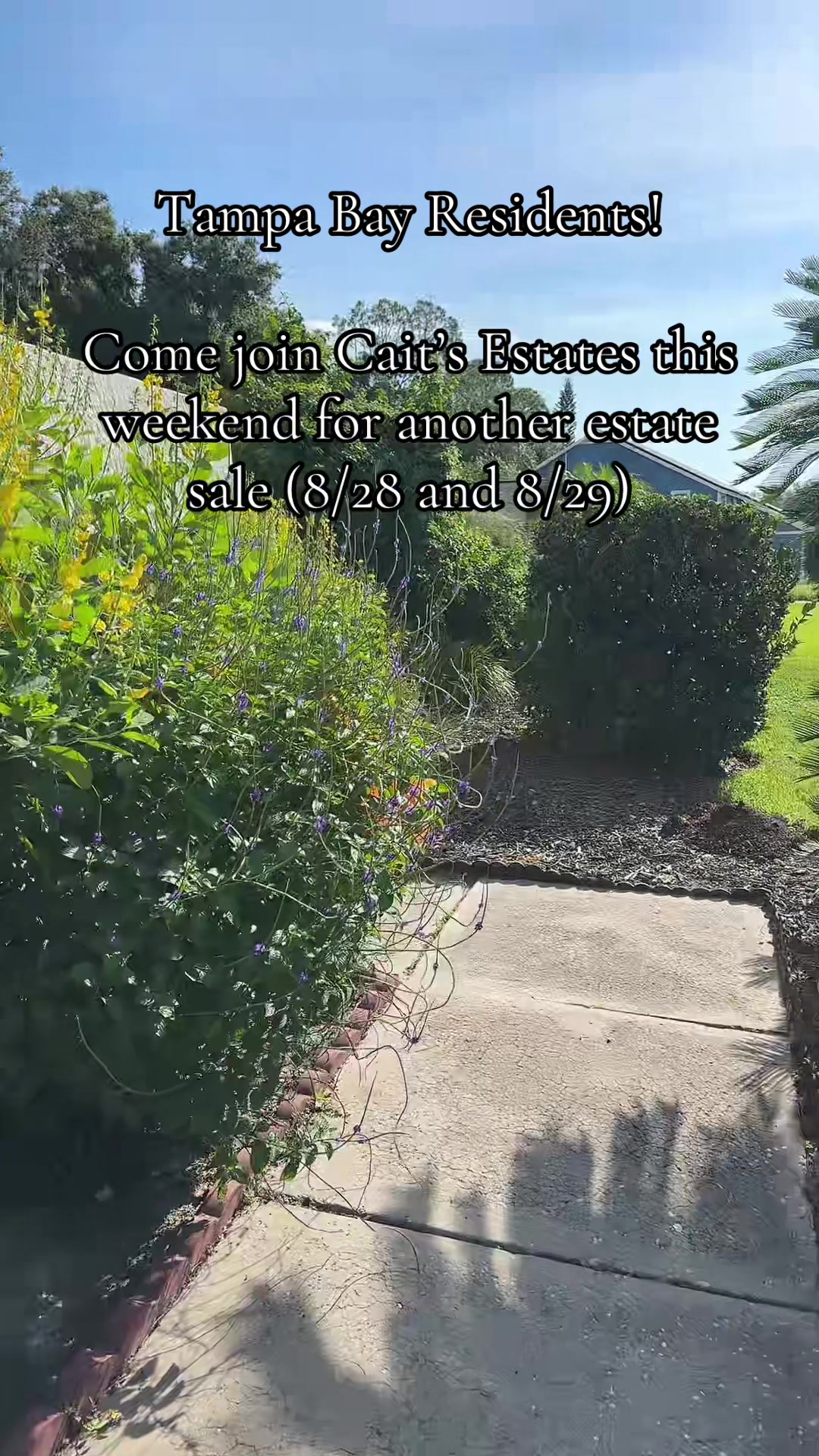 @caitsestatestampa