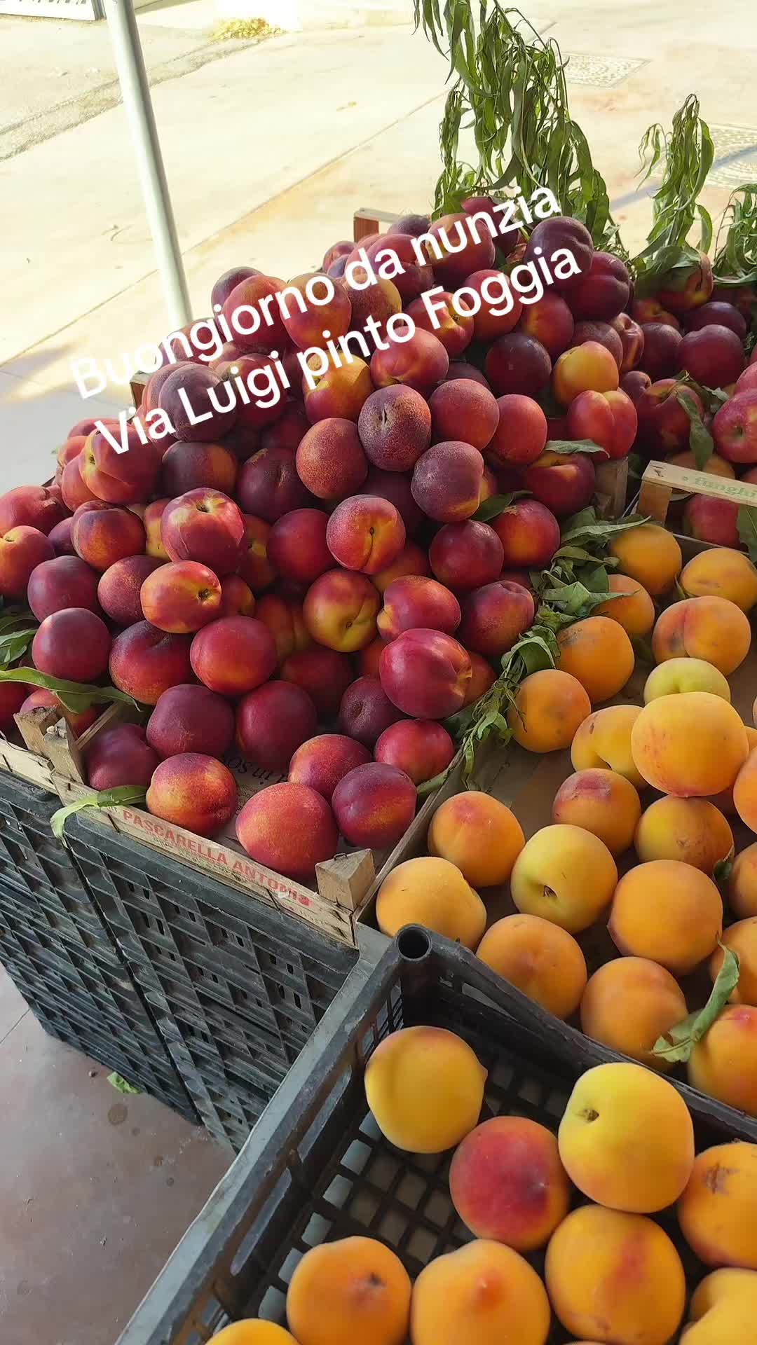 @frutta e verdura da nunzia