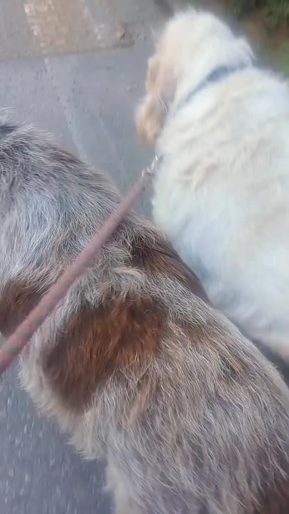 @lauralarini3
