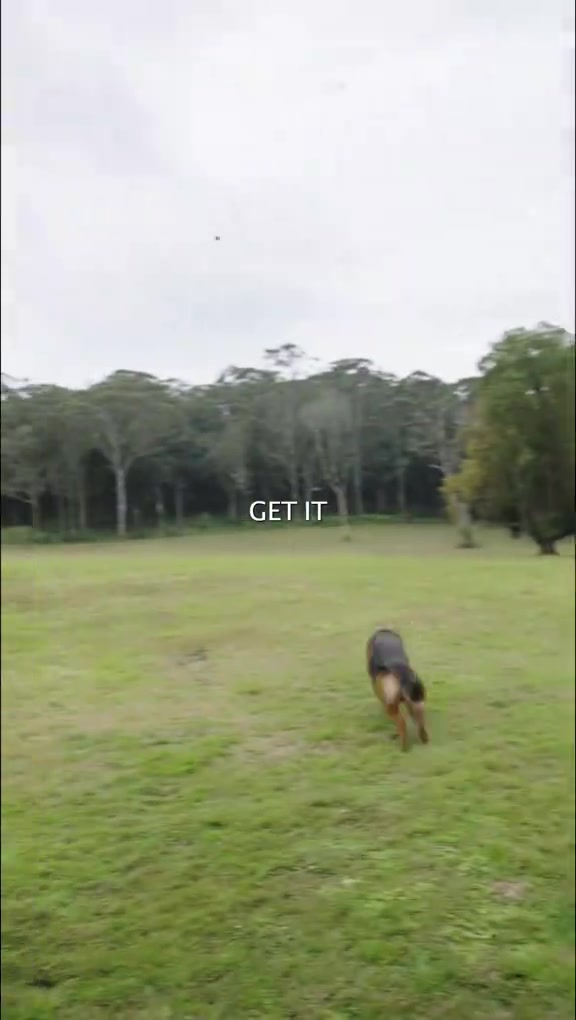 @Mat Steinwede