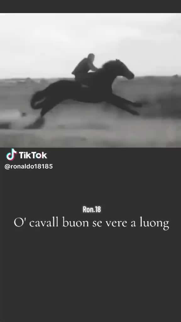 @francesco