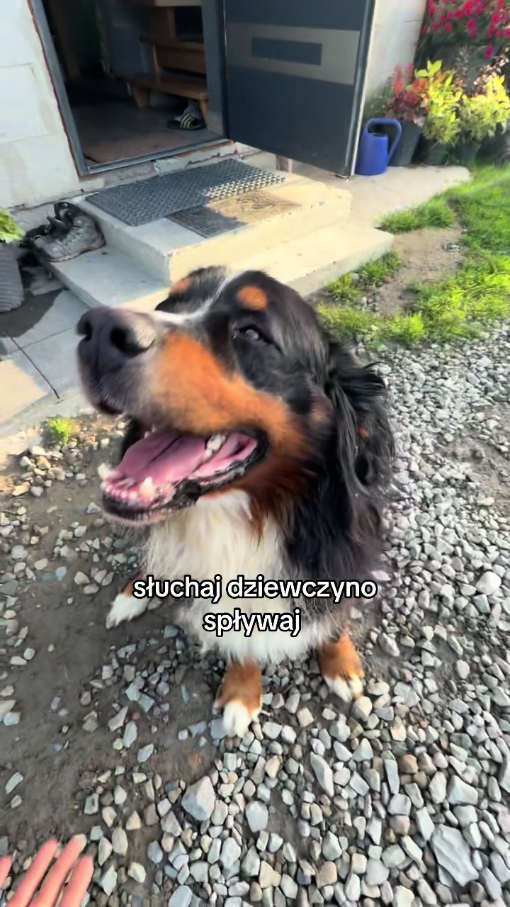 @๐พ๐๐ฒ๐ช๐
