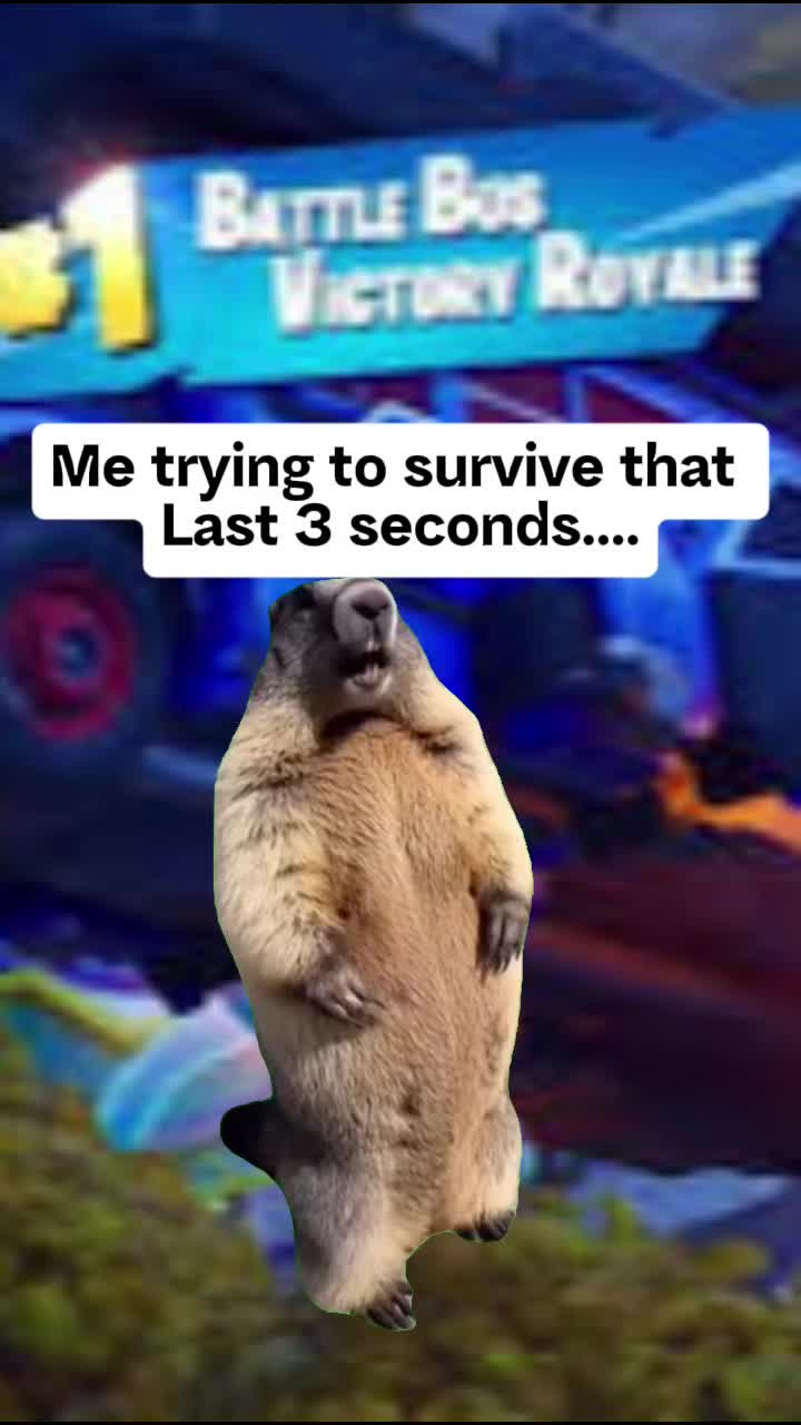 @Reliablereviver