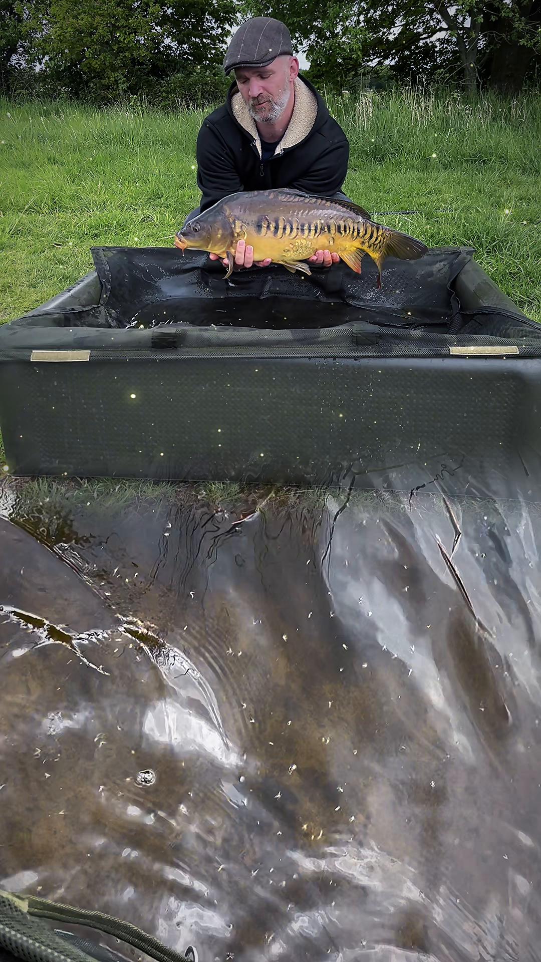 @Daniel Team Herb Baits