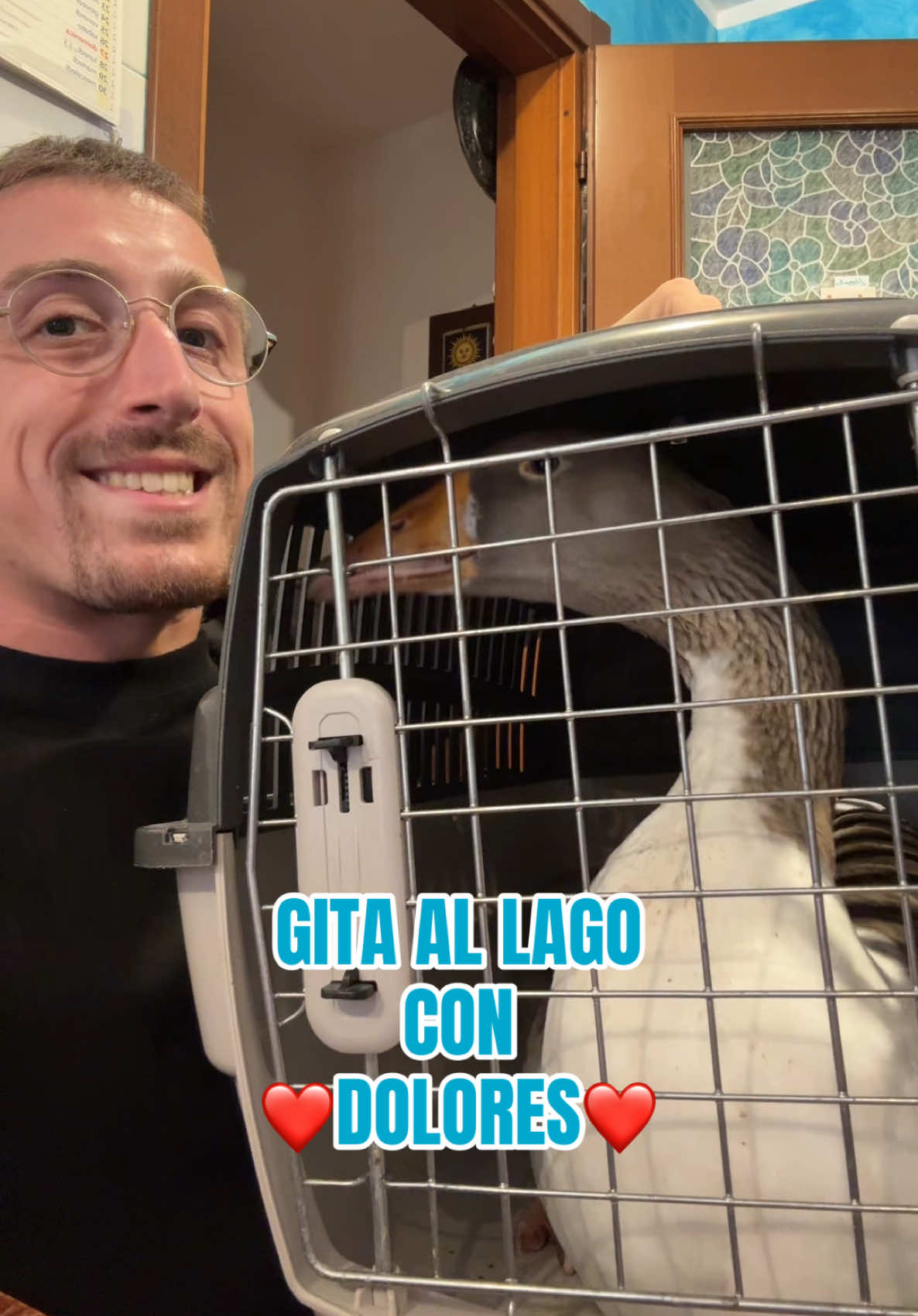 @AlbertoMaurizi