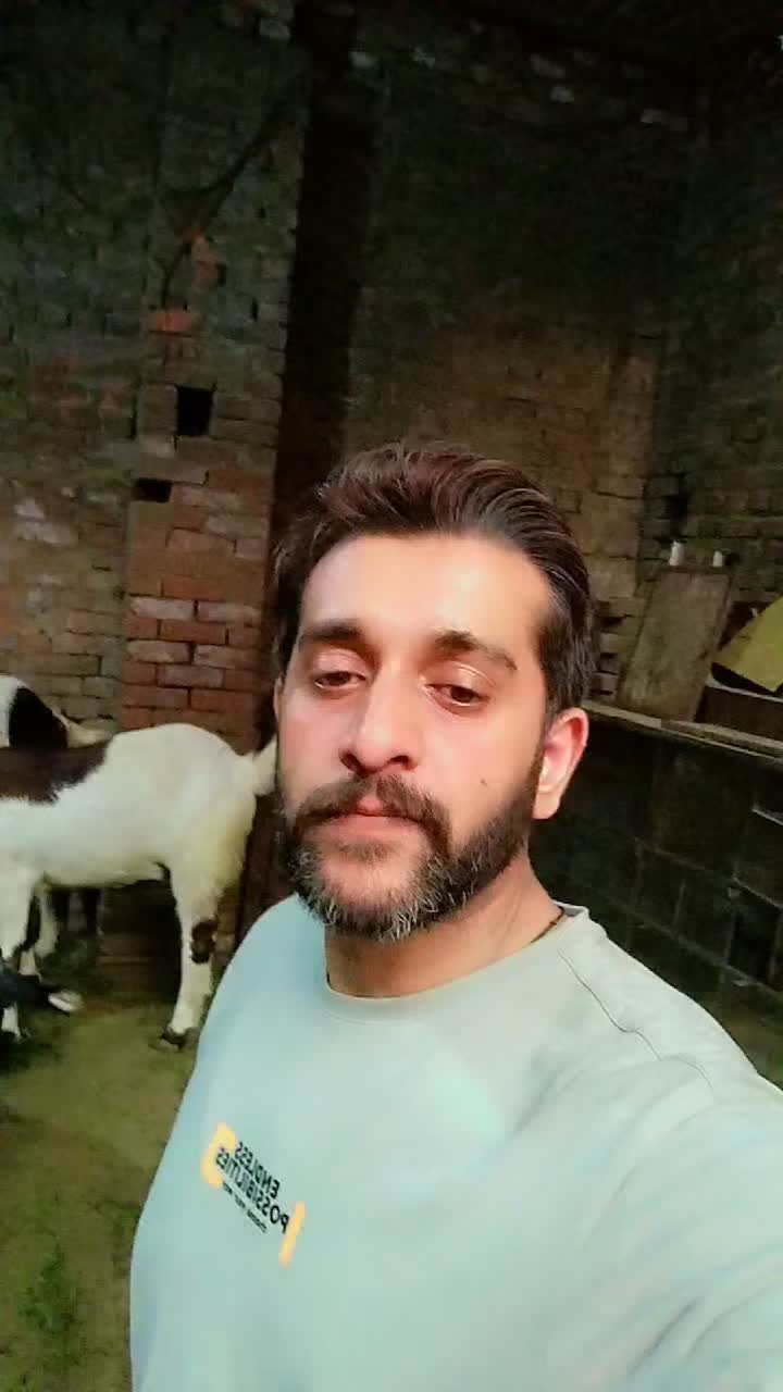 @shaangujjar222