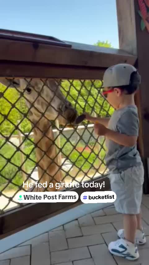 @White Post Farms