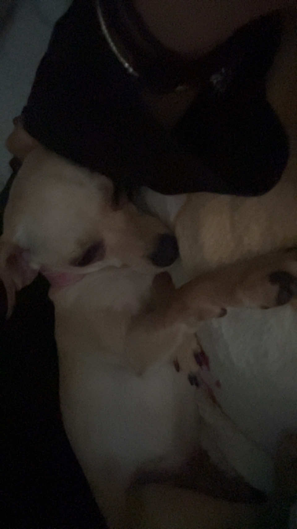 @💋💋💋