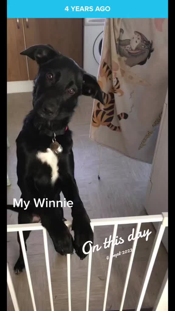 @wenwin07