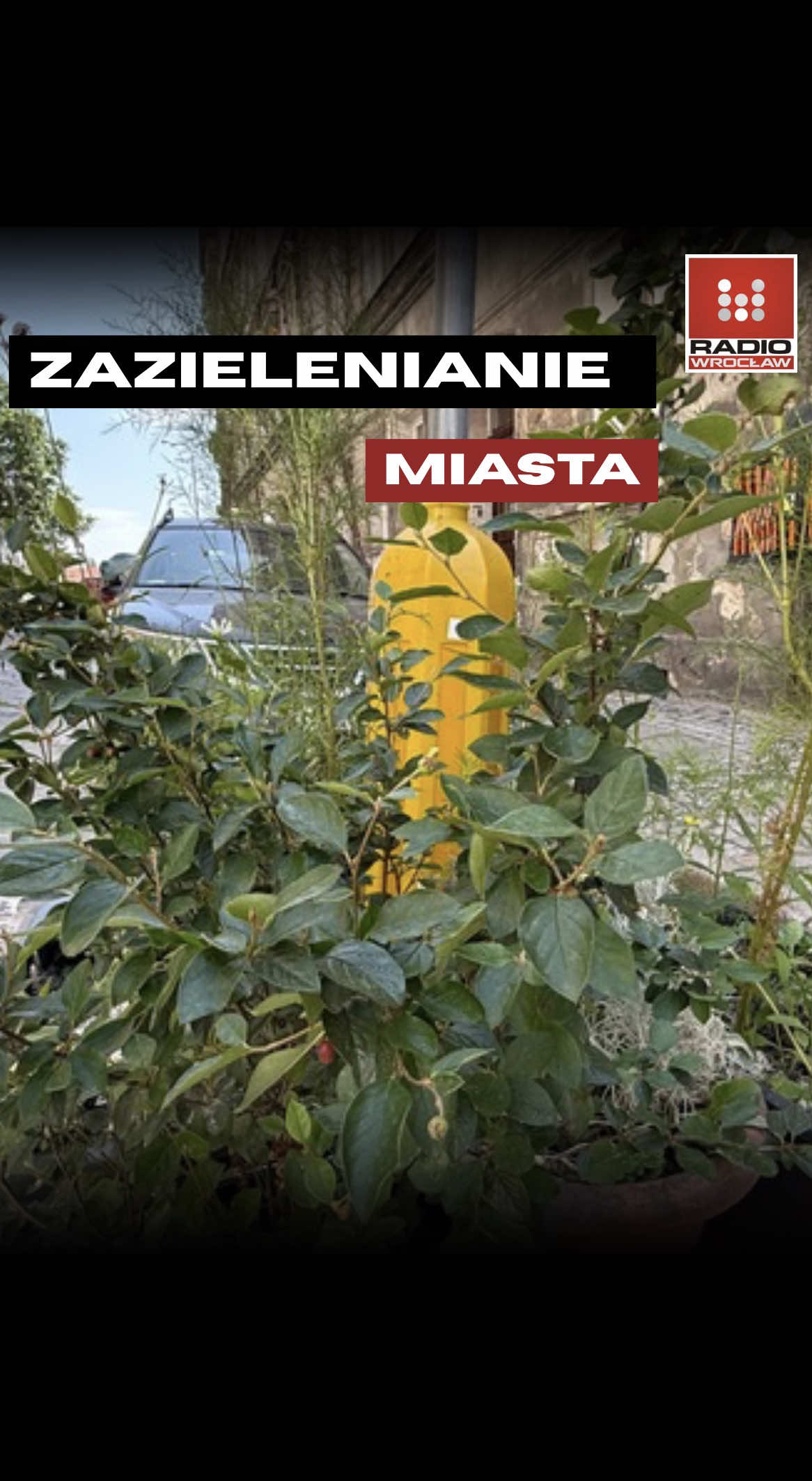 @Radio z Dolnego Śląska