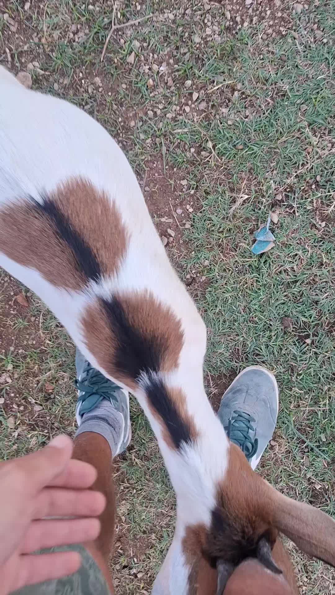 @Ssanty👷&zwj;♂️