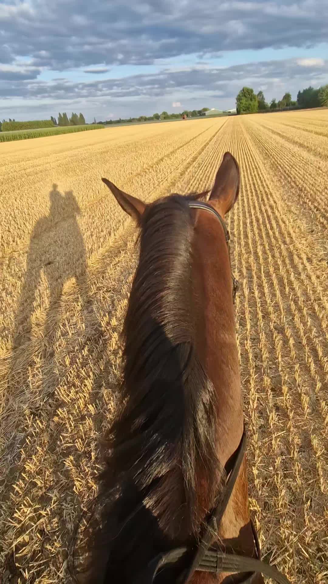 @๐ฃ๐ฒ๐ฏ๐ฏ๐ช๐ท๐&๐๐ฒ๐ผ๐ผ ๐๐ฎโค๏ธ