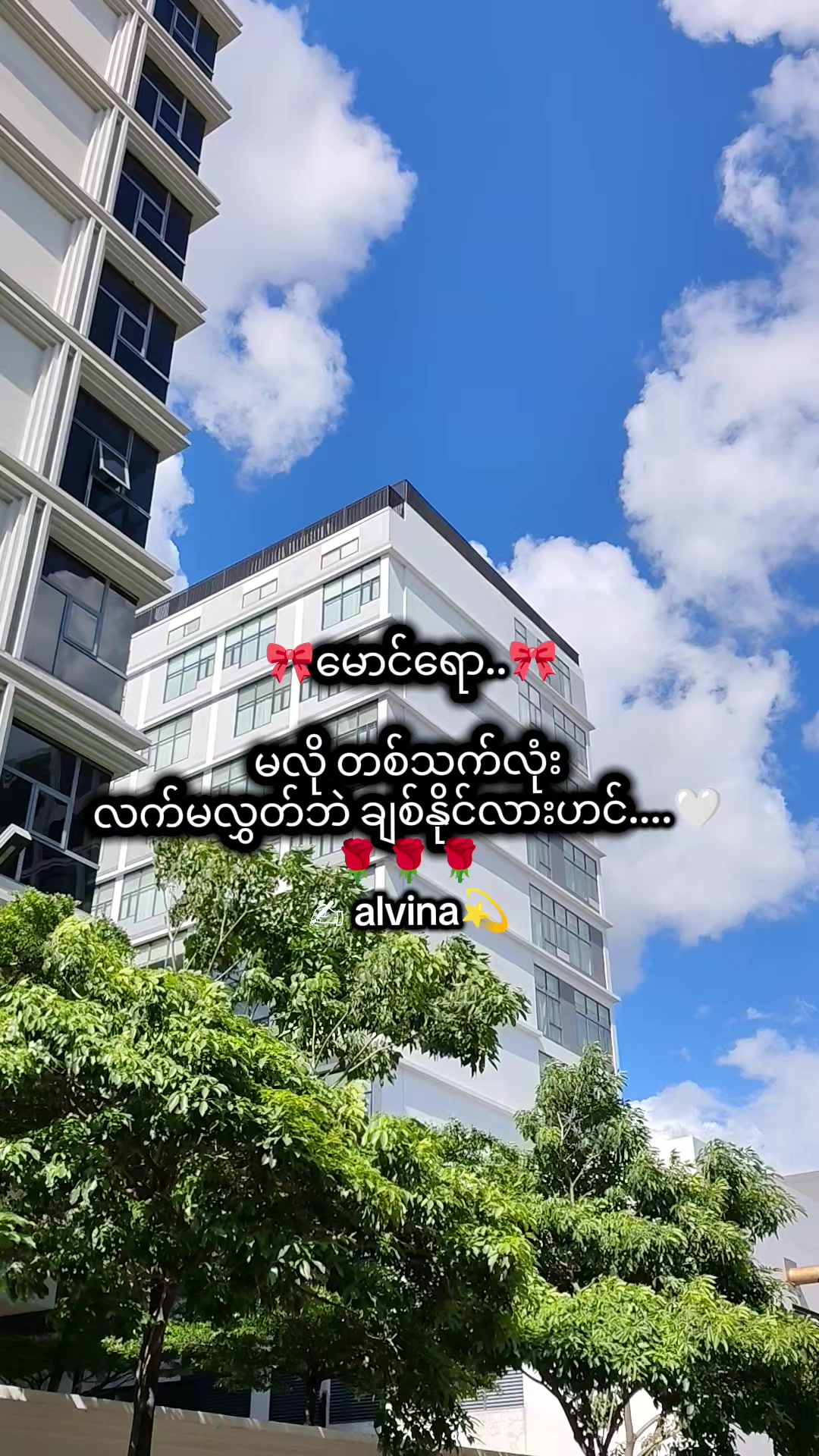 @🇯🇵 Alvina💫(အယ်ဗီနာ)💫🇯🇵
