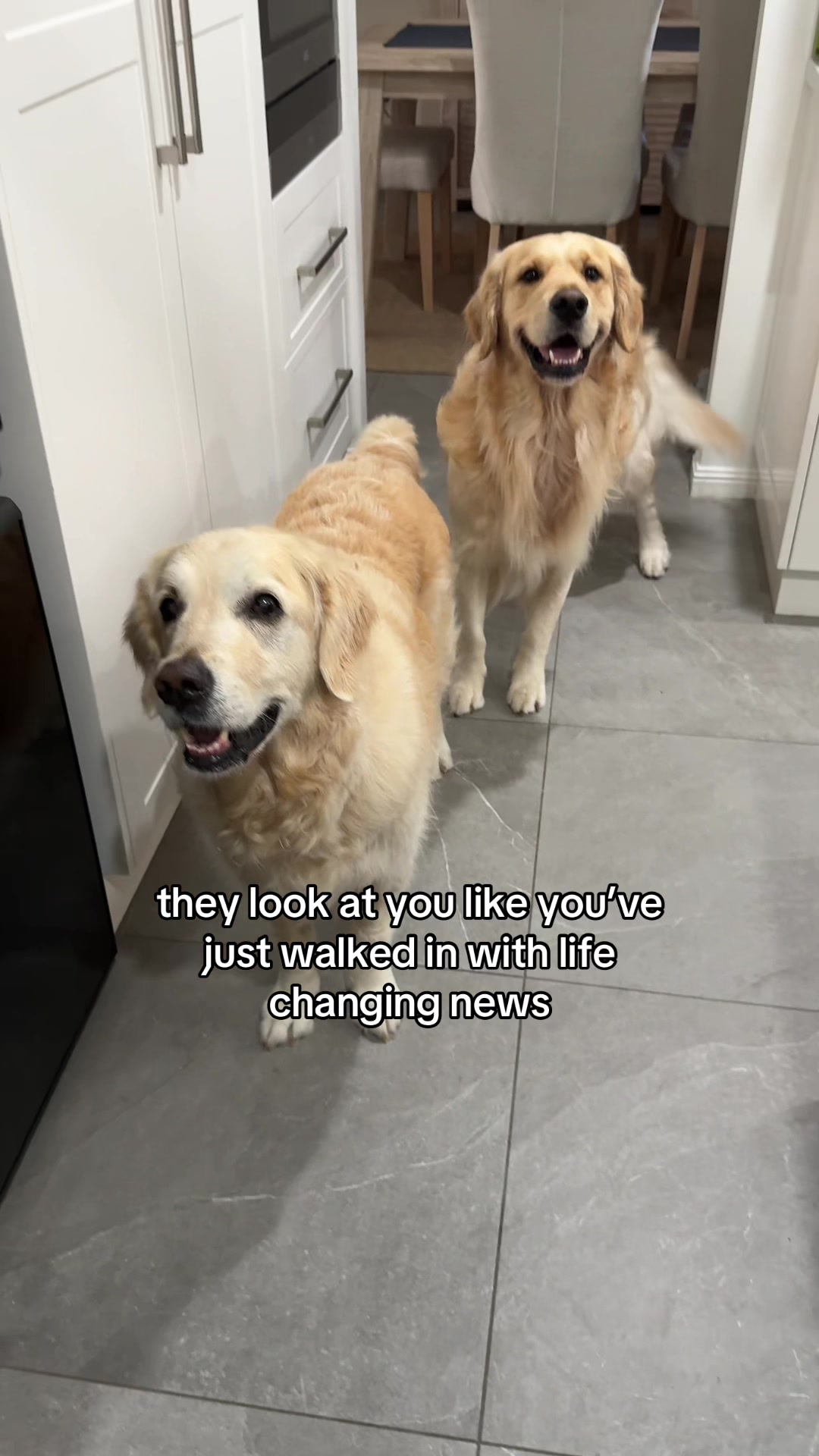 @lunas_golden_life
