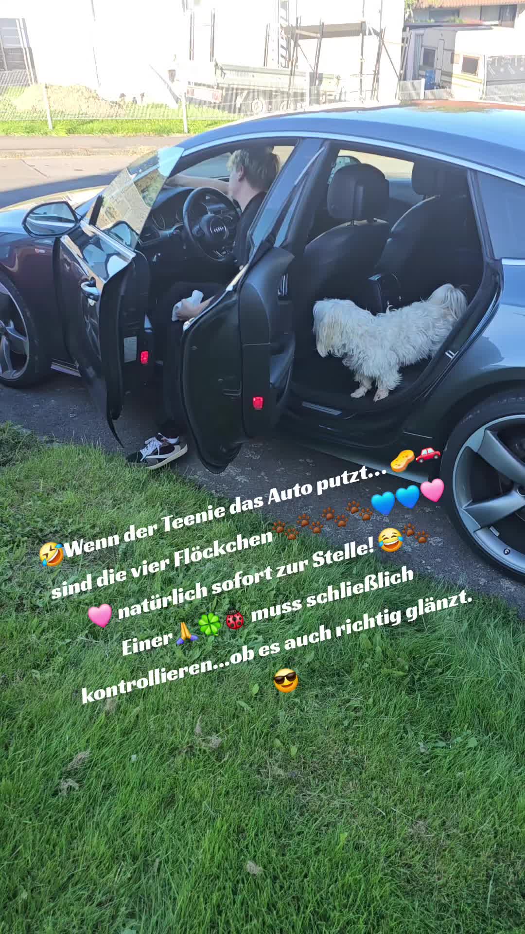 @Flöckchen