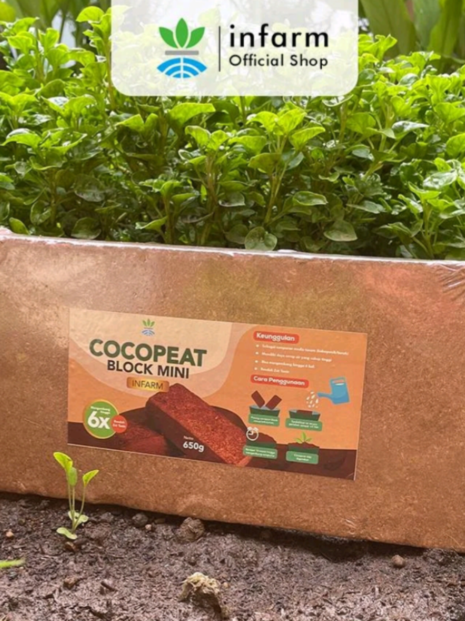 @Berkebun Berkah