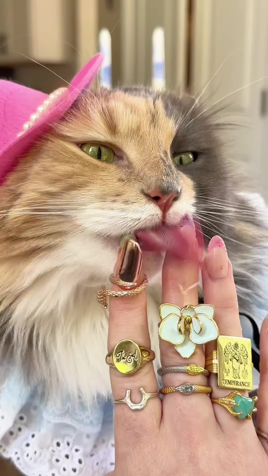 @VeraMeat