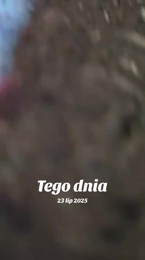 @Góraleczka Kinia 🌹⛰️🏞️🌲