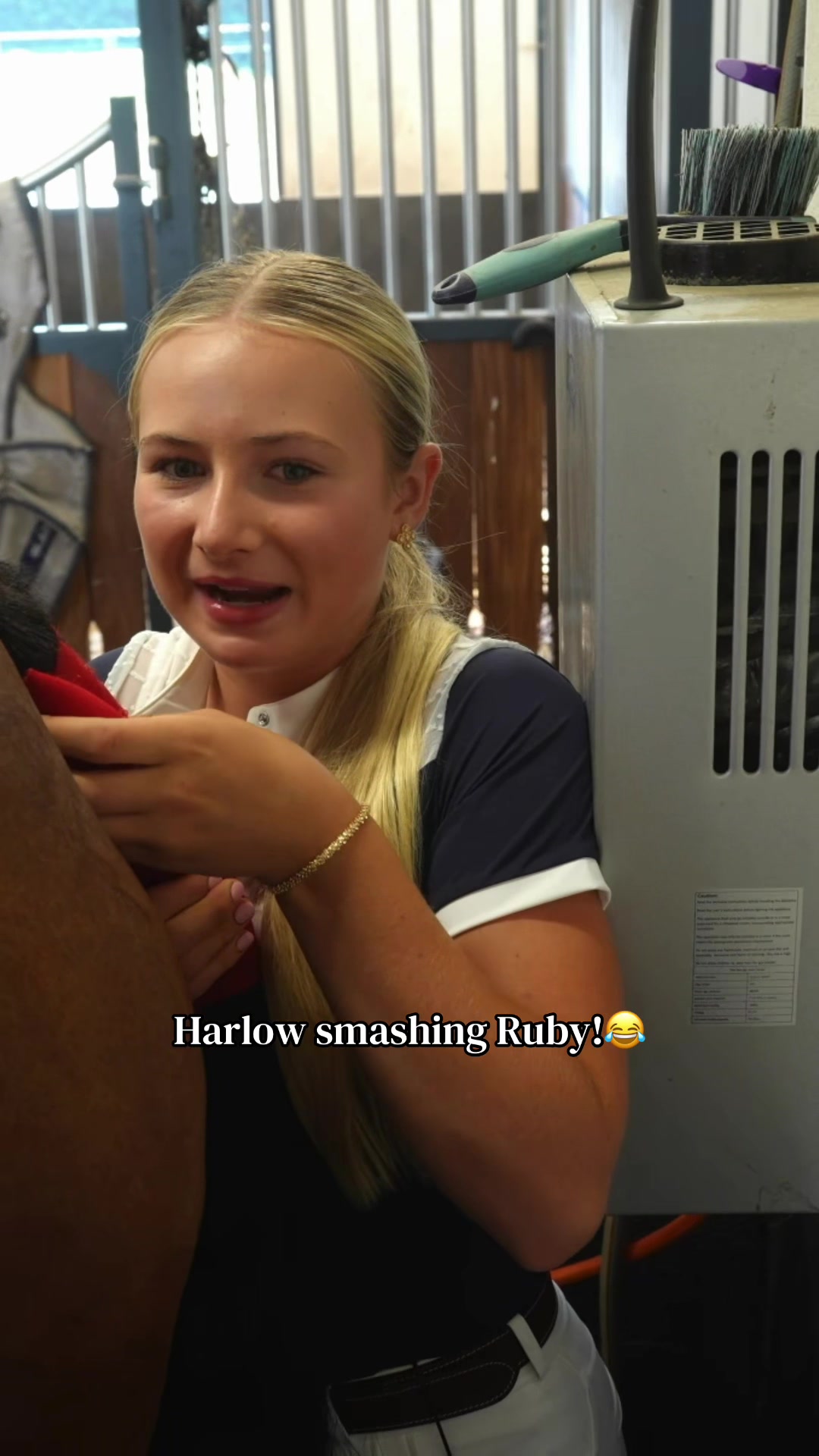 @Harlow Updates