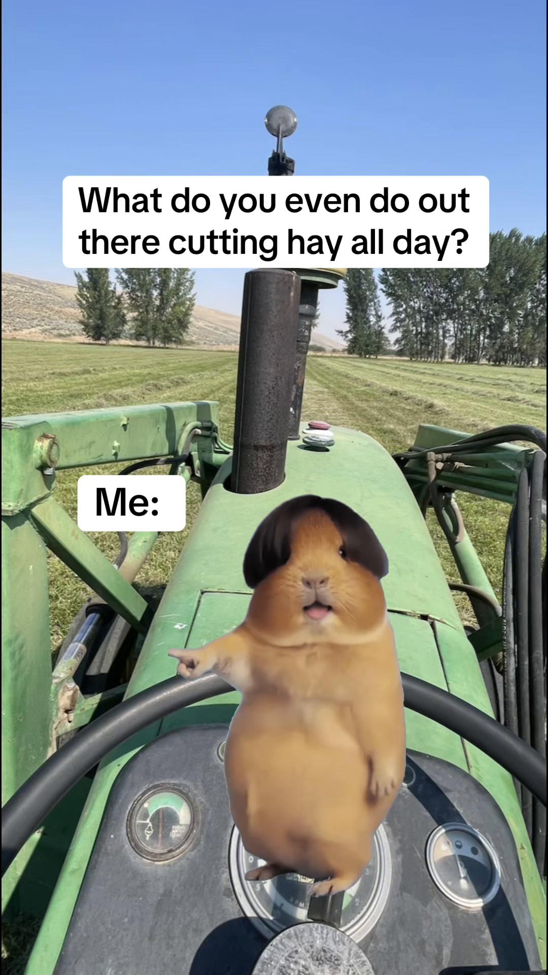 @thatredbarnlady