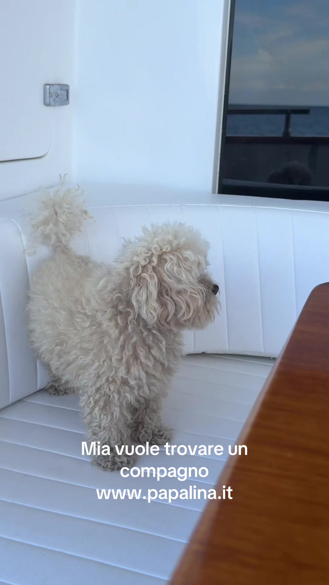 @Sergio Gallone
