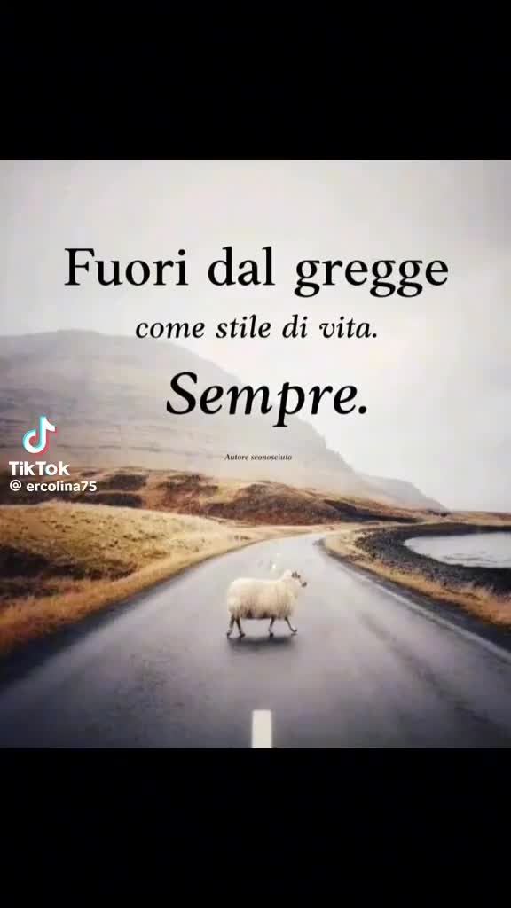 @Stefania